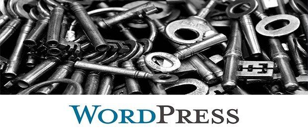WordPress Admin Şifresini Unuttum - Sıfırlama
