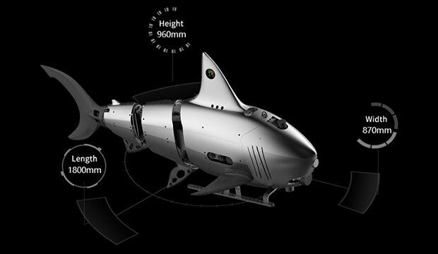 Köpek Balığını Taklit Eden Robot Robo-Shark